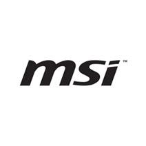 Micro-Star International (MSI)